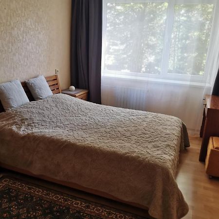 Viktorijos Apartamentai - Erdvus 2 Kambariu Butas Паневежис Екстер'єр фото