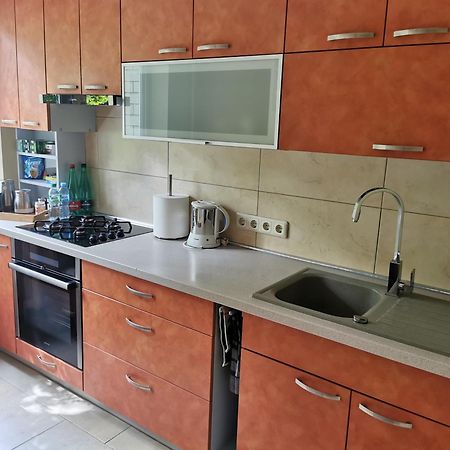 Viktorijos Apartamentai - Erdvus 2 Kambariu Butas Паневежис Екстер'єр фото