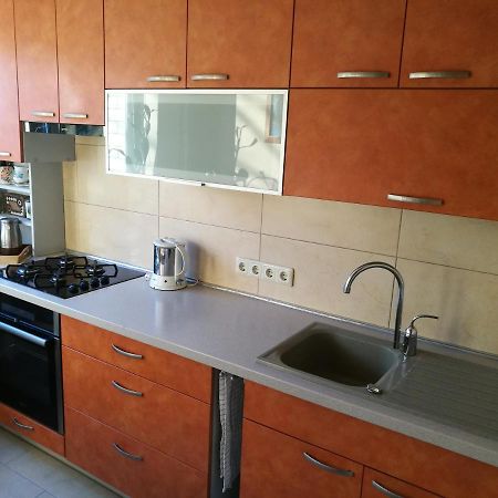 Viktorijos Apartamentai - Erdvus 2 Kambariu Butas Паневежис Екстер'єр фото