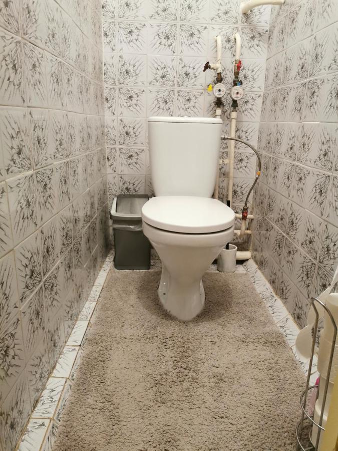Viktorijos Apartamentai - Erdvus 2 Kambariu Butas Паневежис Екстер'єр фото