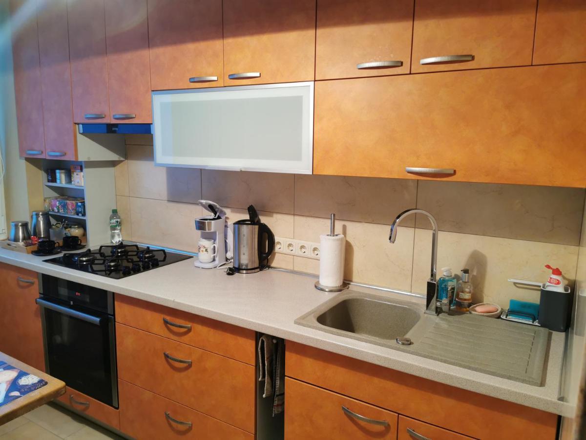 Viktorijos Apartamentai - Erdvus 2 Kambariu Butas Паневежис Екстер'єр фото